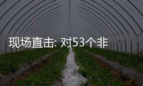 面实货物直击现场3个国全关税全国对5通关建交施零首票深圳非洲
