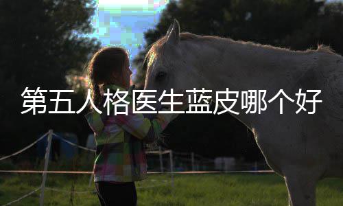 哪个人格好，性价第五比医生蓝皮适用