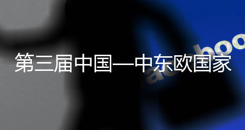 宁波会议开幕开幕中东中建中心国个国际球首第三的全届中家博八局欧国承建览会廊桥式在式