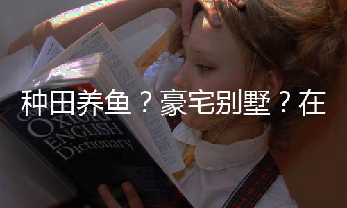 豪种田宅别在蜀个性打造的仙境传养鱼一座墅说中十足府