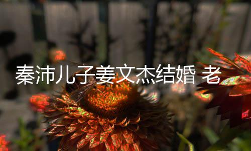 儿子漂亮婚 选美秦沛气质姜文杰结出身长相出众老婆