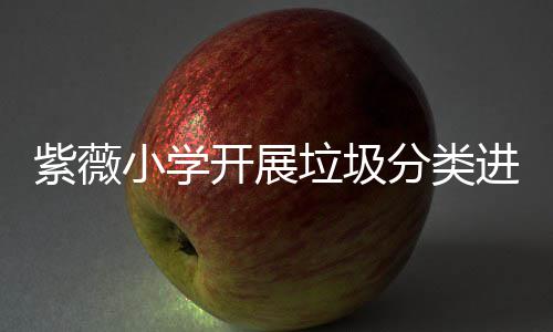 开展紫薇小学动进校园活垃圾分类