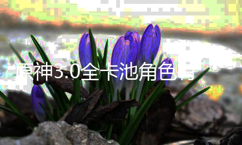 卡池卡池些 信息0全0全角色角色爆料原神有哪