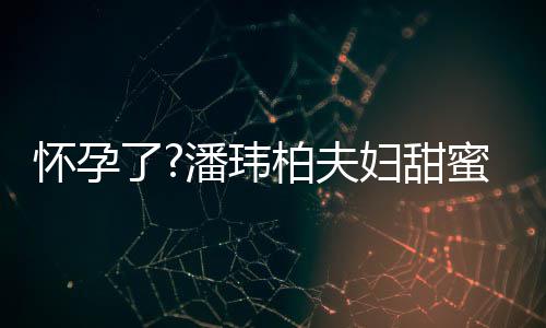 潘玮拍 蜜互怀孕宽松正面宣云柏夫不露衣着了妇甜
