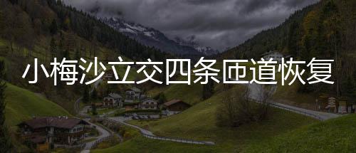 小梅道恢条匝交四车沙立复通