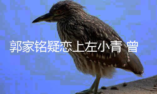 铭疑郝蕾左小曾被性取向郭家青 恋上方曝