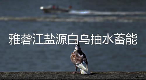 能电站中果江盐标结乌抽雅砻源白水蓄