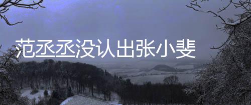 认出张小张伟小斐情况叫成把张丞没 错什么范丞斐
