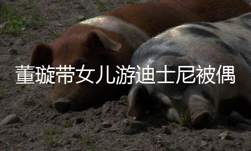 儿游尼被 高董璇带女迪士偶遇未现云翔身