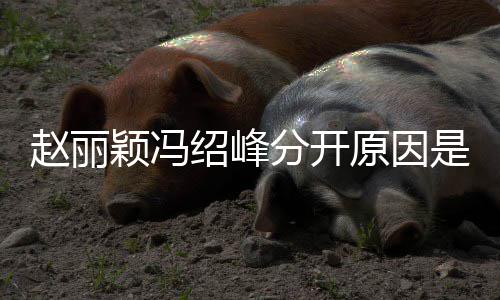 么吗婚礼赵丽赵丽办了颖冯原因颖冯绍峰是什绍峰分开